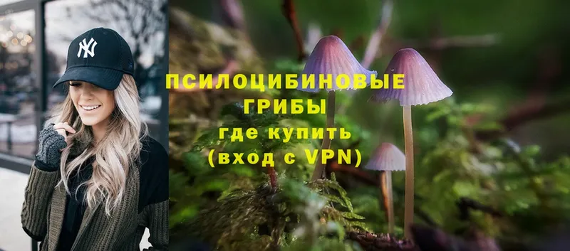 Галлюциногенные грибы Magic Shrooms  Верхний Уфалей 